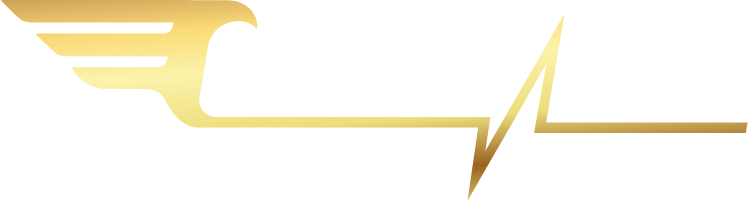 Guardian Angel Logo (5)